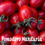 Pomodoro Sioux