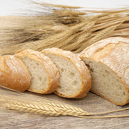 Pane, Schiacciata tipico Toscana